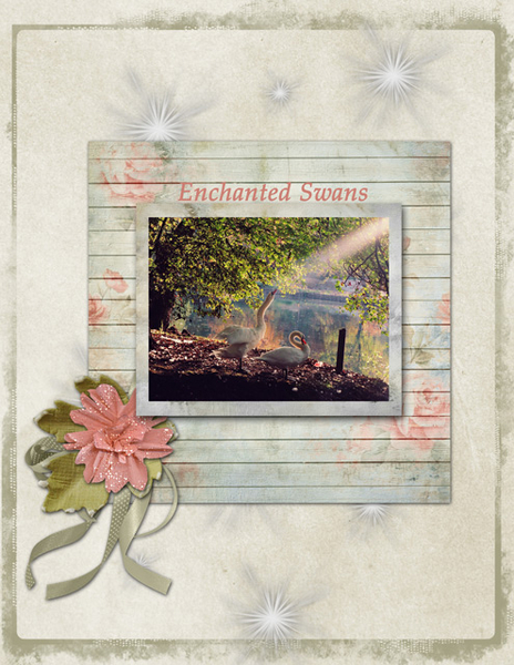 ENCHANTED SWANS
