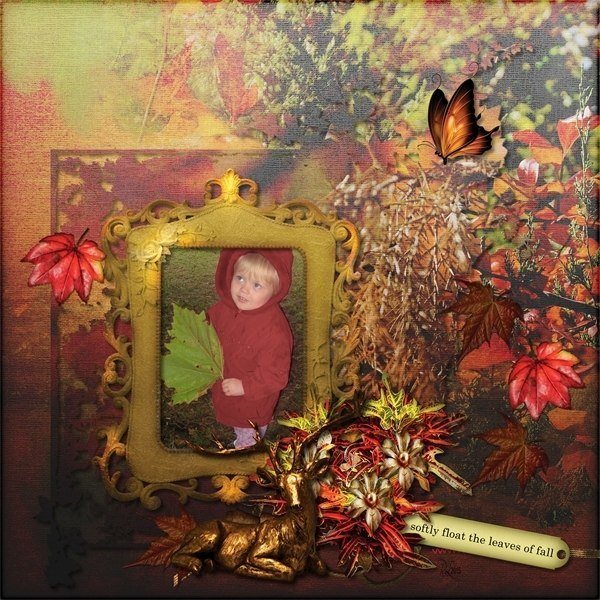 Enchanted woodland forest