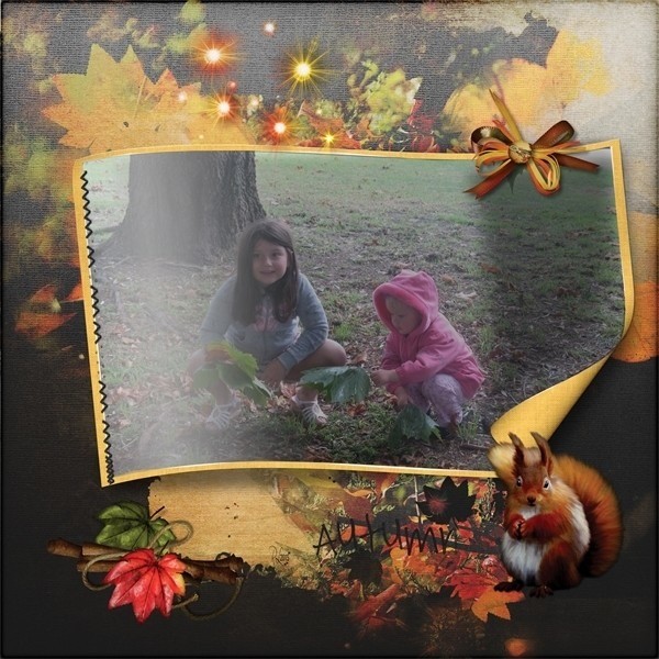 Enchanted woodland forest