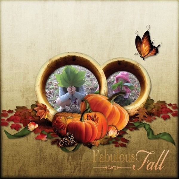Enchanted woodland forest