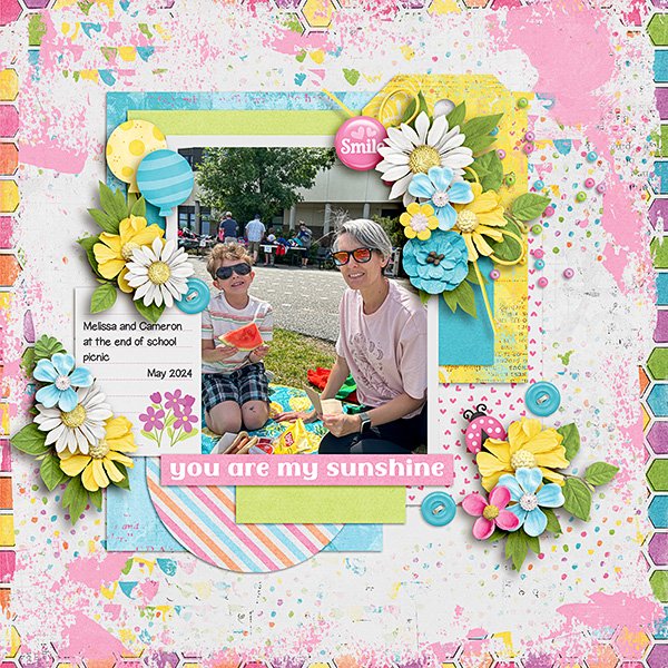 End-of-School-picnic.jpg