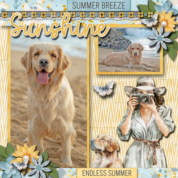 Endless Summer