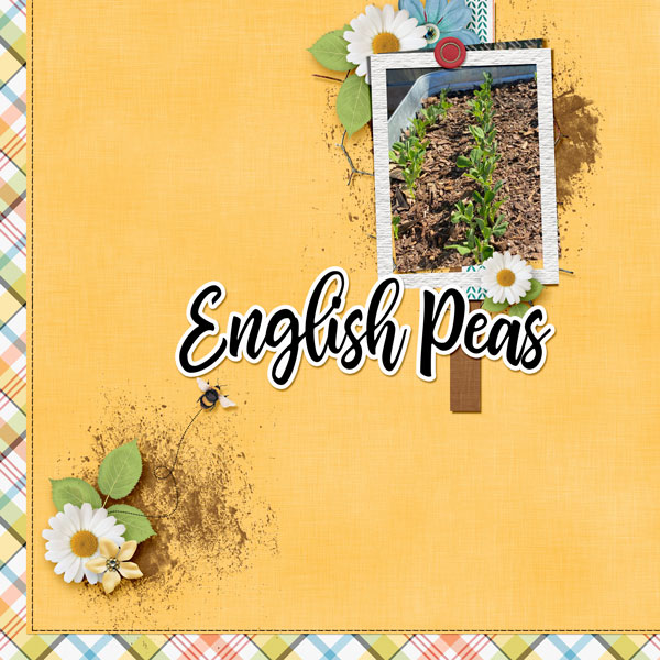 English Peas