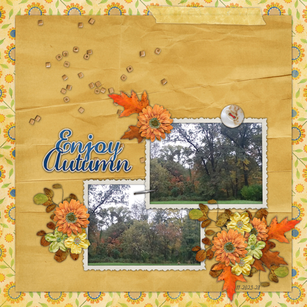 Enjoy Autumn