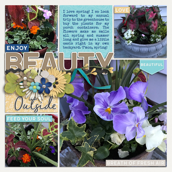 Enjoy Beauty