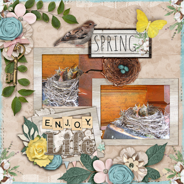 Enjoy-life-600
