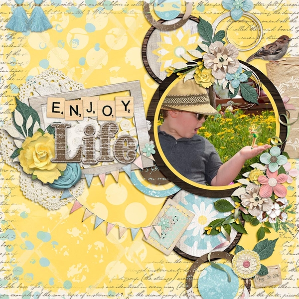 Enjoy Life