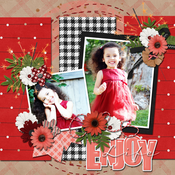 Enjoy Life