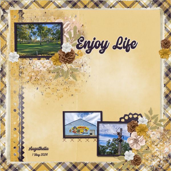 Enjoy Life