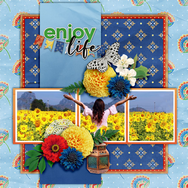Enjoy-life12
