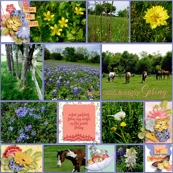 Enjoy Spring