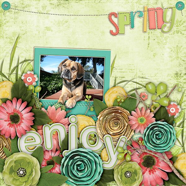enjoy spring