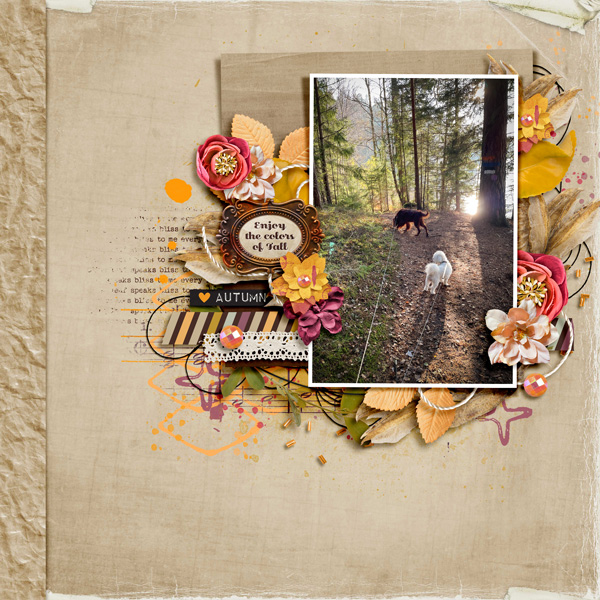 Enjoy the colors of fall