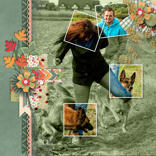 Enjoy the dogs