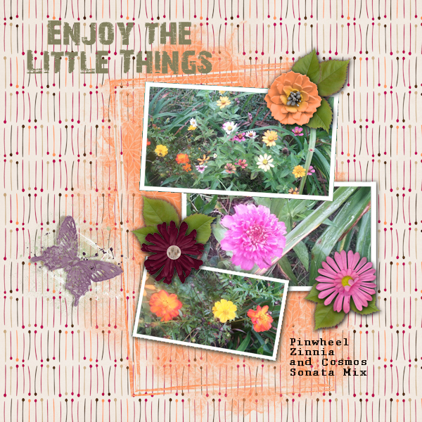 Enjoy the Little Things