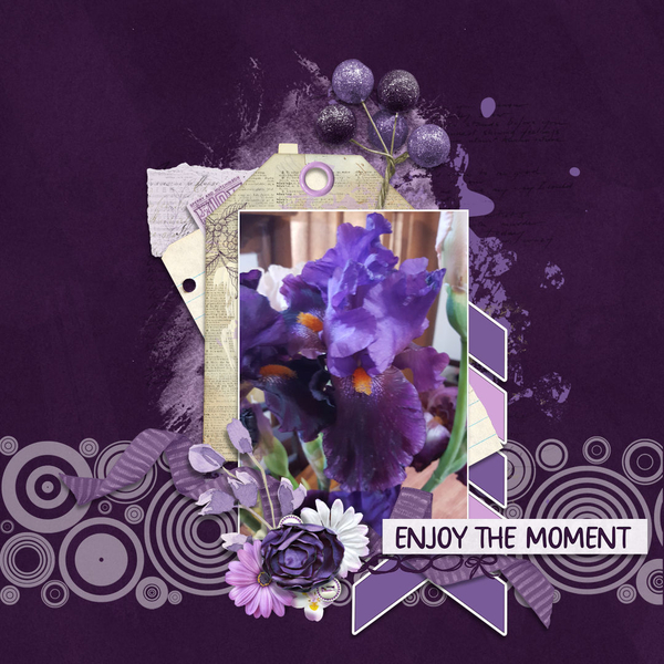 Enjoy The Moment