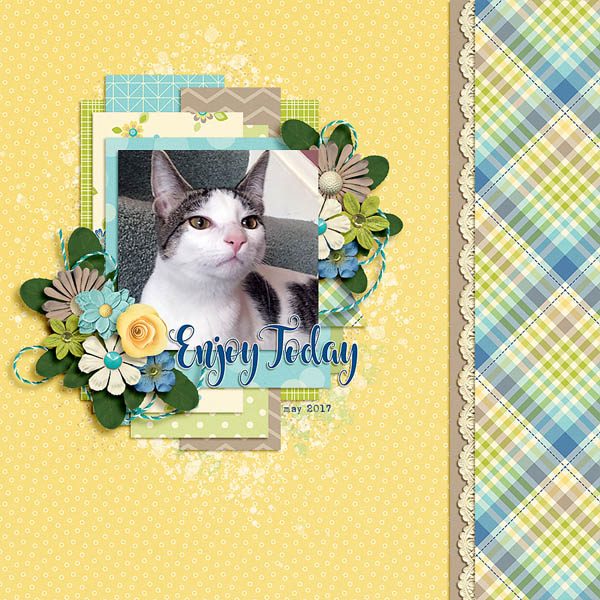 enjoy Today
