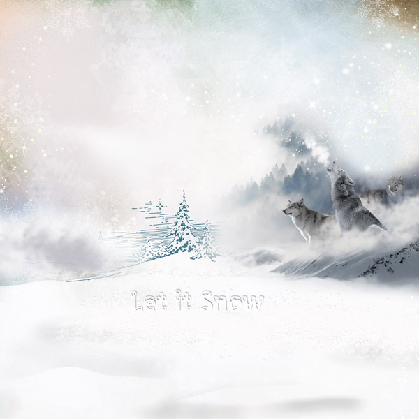 Enjoy Winter
