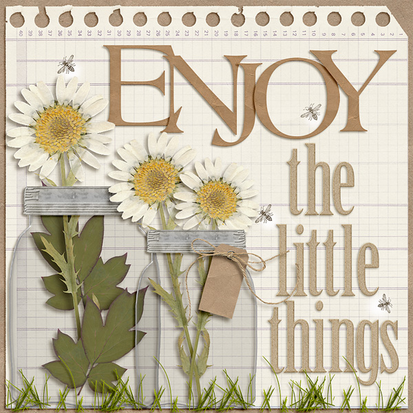 enjoy