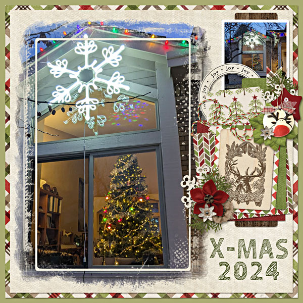 Enjoying Christmas Decorations