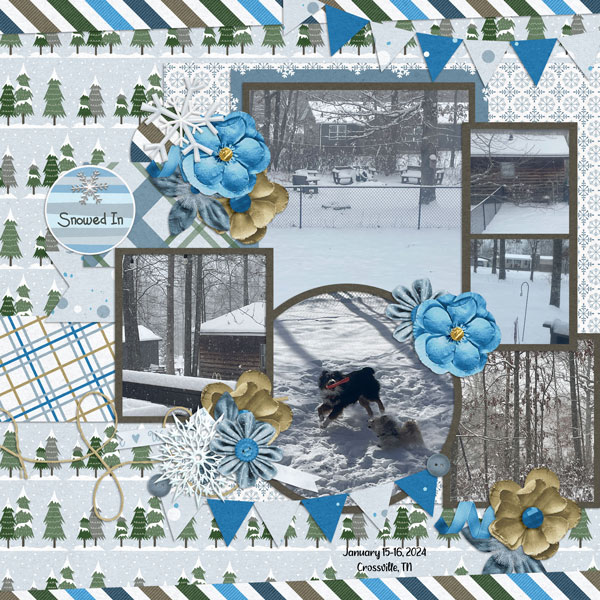 Enjoying the Snow-Jan 2024