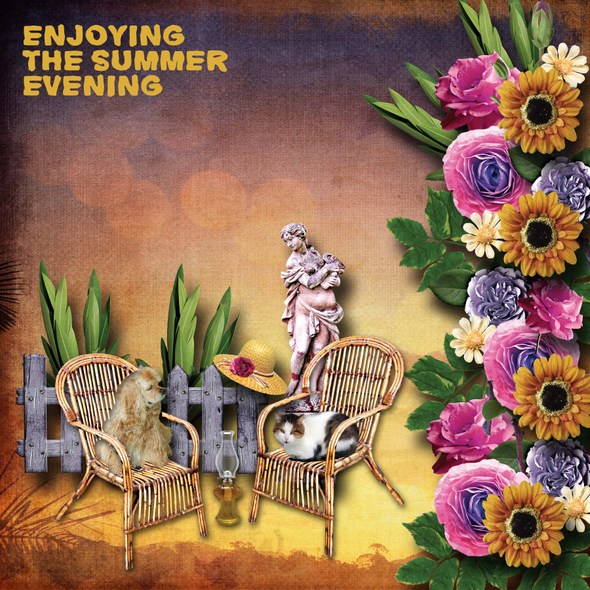 Enjoying_the_summer_evening