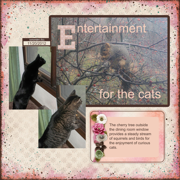 Entertainment for the Cats