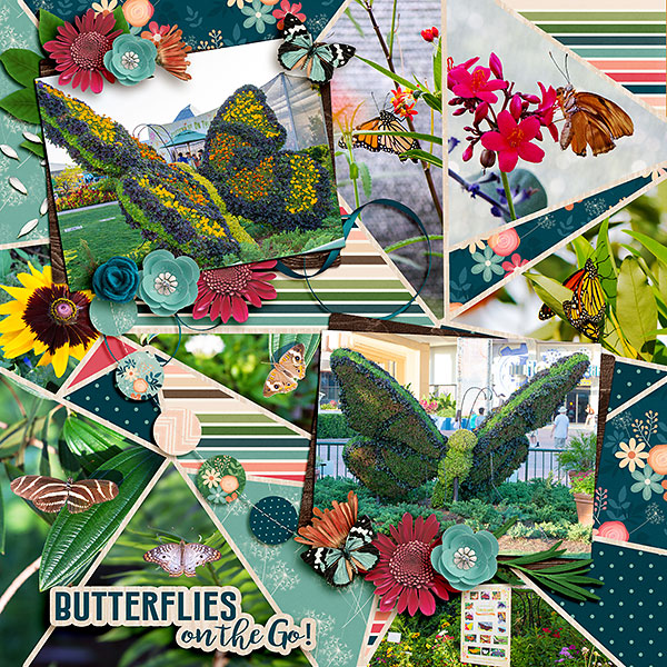 Epcot Butterflies