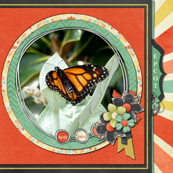 EPCOT Butterfly