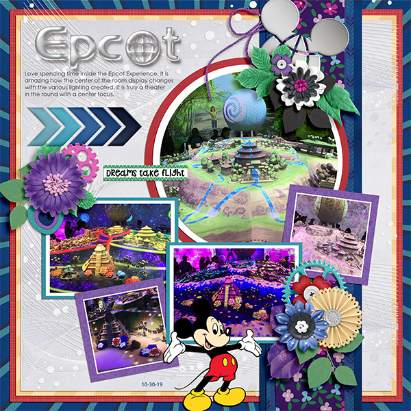Epcot Experience