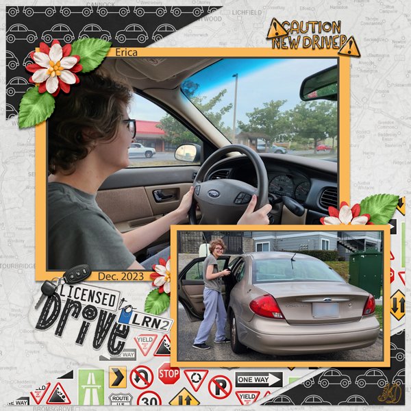 Erica got her learner's permit!
