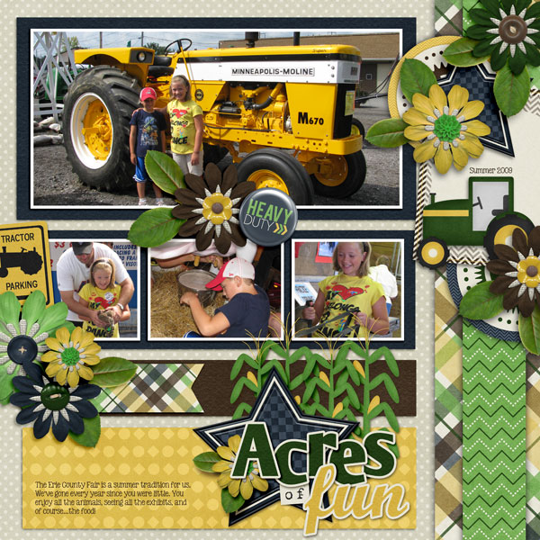 Erie County Fair