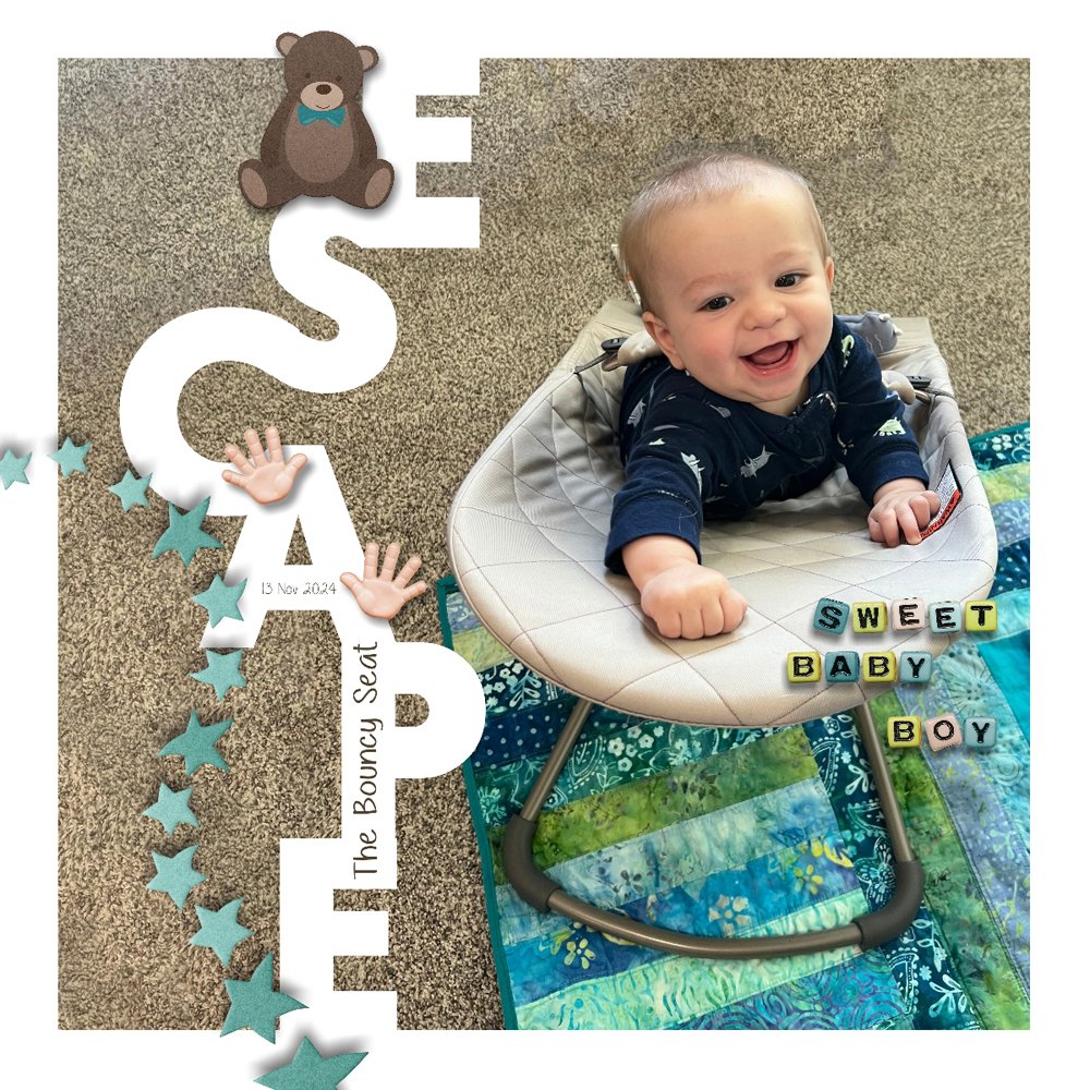 Escape Bouncy Seat.jpg