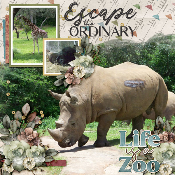 Escape The Ordinary