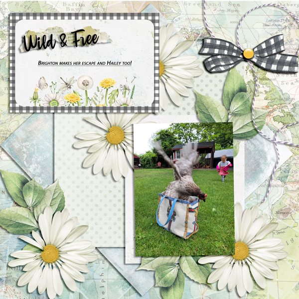 Escape - Use It All Challenge -July 2022