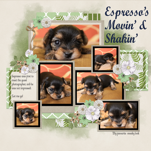 Espresso's movin and shakin