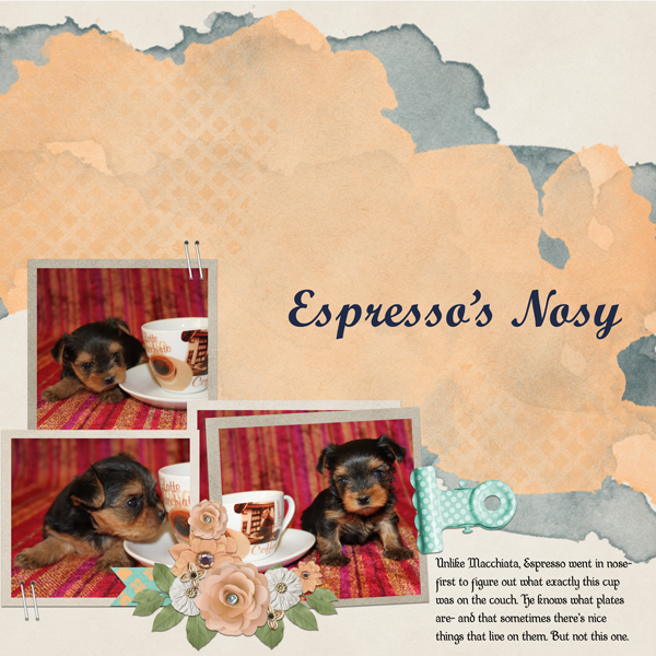 Espresso's Nosy