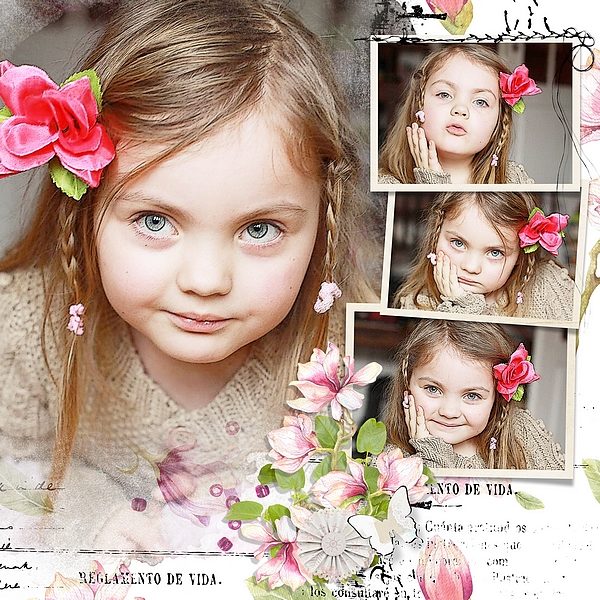Essence of Magnolia