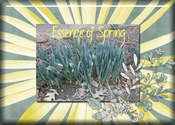 Essence of Spring