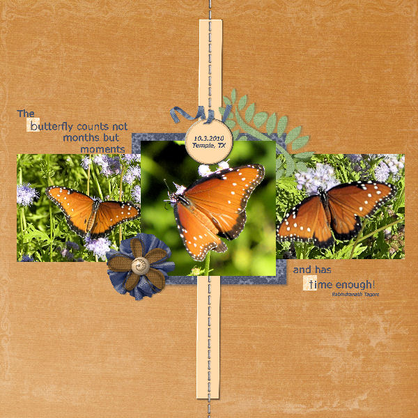 Eternal Butterflies