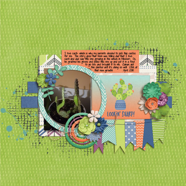 EudoraDesigns_KINDness-cathy-k-be-a-cactus