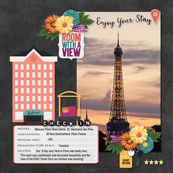 Europe_ Hotel Mercure Paris