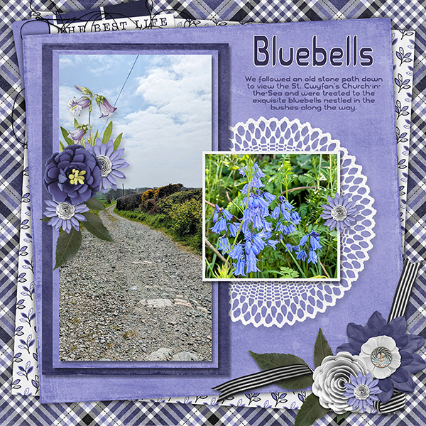 Europe_Bluebells