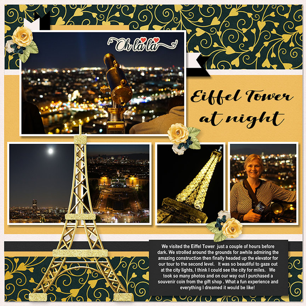 Europe_Eiffel Tower Night