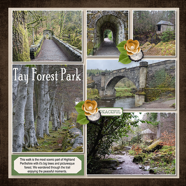 Europe_Tay Forest Park
