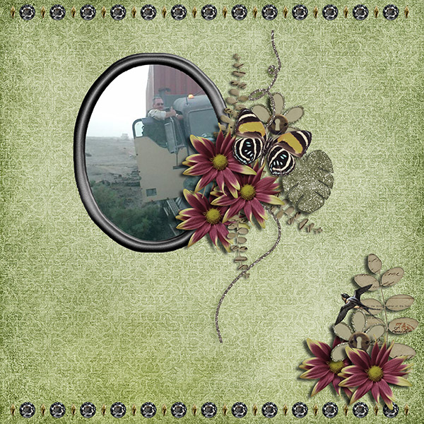 Evening Bloom