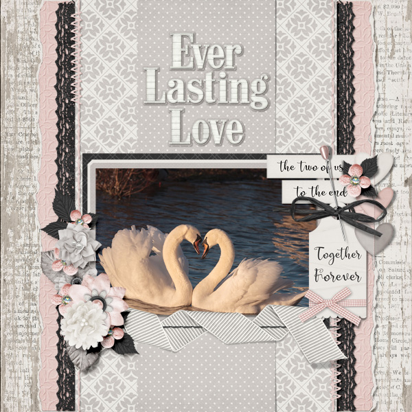 Ever Lasting Love