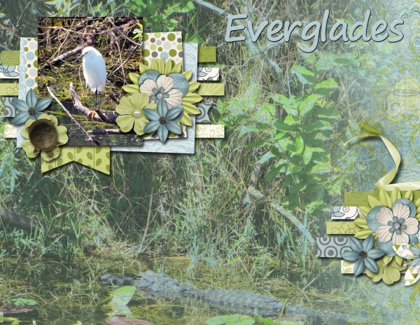 Everglades pg 1