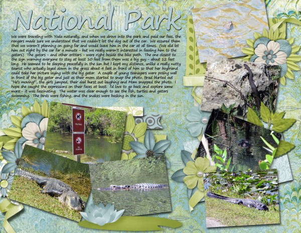 Everglades pg2