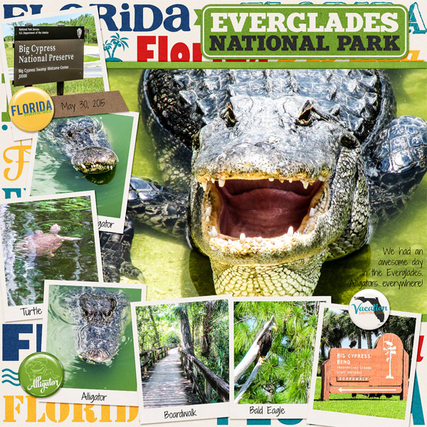 Everglades